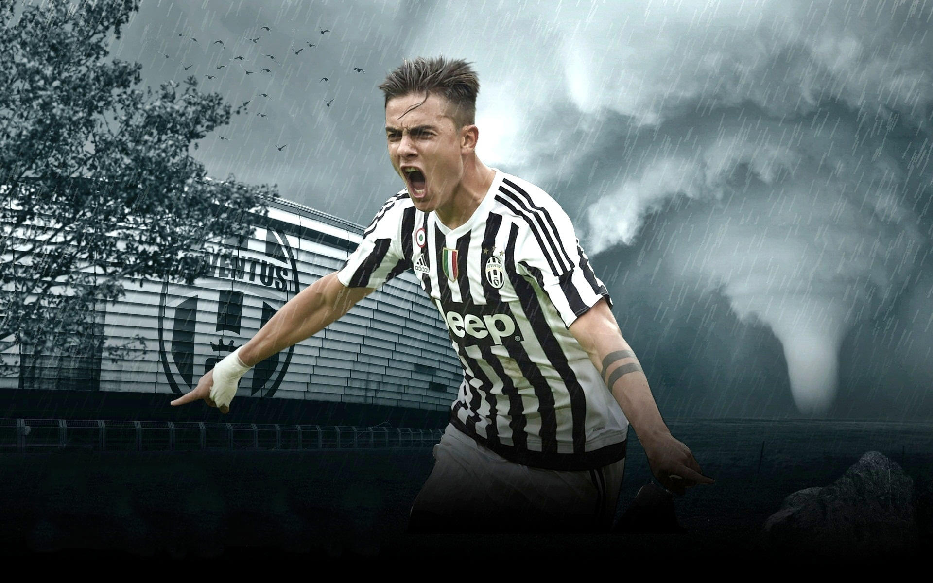 篮球赛事直播的未来趋势（篮球赛事直播新趋势）